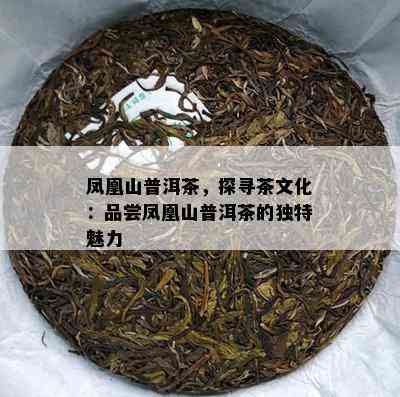 凤凰山普洱茶，探寻茶文化：品尝凤凰山普洱茶的特别魅力