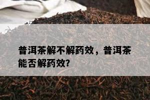 普洱茶解不解效，普洱茶能否解效？