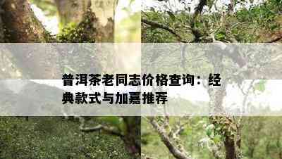 普洱茶老同志价格查询：经典款式与加嘉推荐