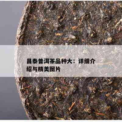 昌泰普洱茶品种大：详细介绍与精美图片