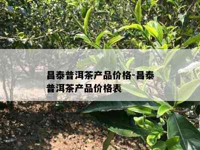 昌泰普洱茶产品价格-昌泰普洱茶产品价格表