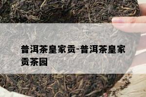 普洱茶皇家贡-普洱茶皇家贡茶园