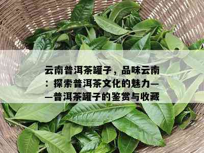 云南普洱茶罐子，品味云南：探索普洱茶文化的魅力——普洱茶罐子的鉴赏与收藏