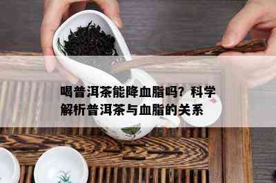 喝普洱茶能降血脂吗？科学解析普洱茶与血脂的关系