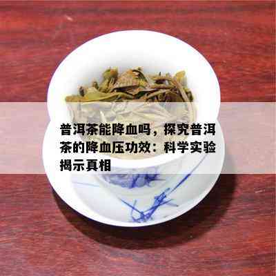 普洱茶能降血吗，探究普洱茶的降血压功效：科学实验揭示真相