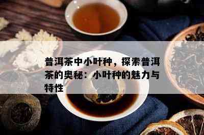 普洱茶中小叶种，探索普洱茶的奥秘：小叶种的魅力与特性