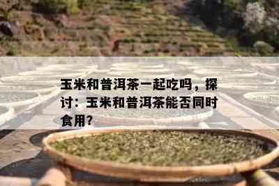 玉米和普洱茶一起吃吗，探讨：玉米和普洱茶能否同时食用？