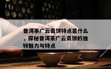 普洱茶广云贡饼特点是什么，探秘普洱茶广云贡饼的独特魅力与特点