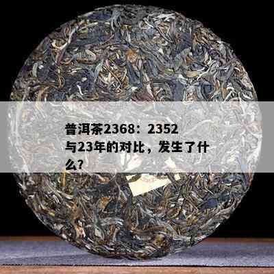 普洱茶2368：2352与23年的对比，发生了什么？