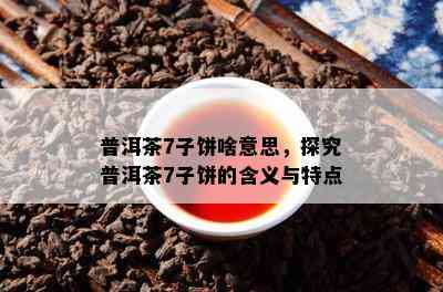 普洱茶7子饼啥意思，探究普洱茶7子饼的含义与特点