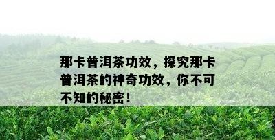 那卡普洱茶功效，探究那卡普洱茶的神奇功效，你不可不知的秘密！