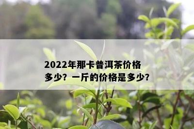 2022年那卡普洱茶价格多少？一斤的价格是多少？