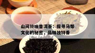 山间铃响普洱茶：探寻马帮文化的秘密，品味独特香