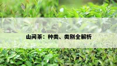 山间茶：种类、类别全解析