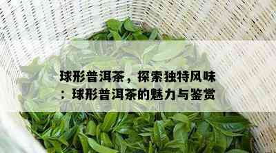 球形普洱茶，探索特别风味：球形普洱茶的魅力与鉴赏