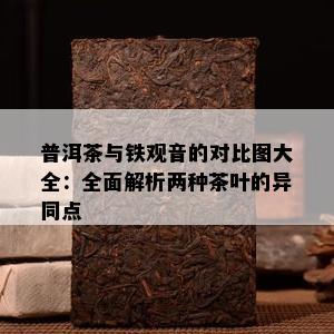 普洱茶与铁观音的对比图大全：全面解析两种茶叶的异同点