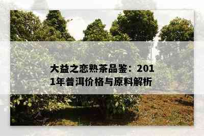 大益之恋熟茶品鉴：2011年普洱价格与原料解析