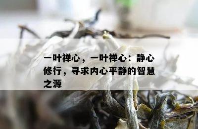 一叶禅心，一叶禅心：静心修行，寻求内心平静的智慧之源