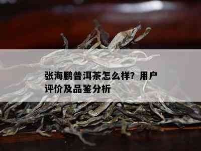 张海鹏普洱茶怎么样？用户评价及品鉴分析