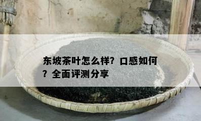 东坡茶叶怎么样？口感怎样？全面评测分享