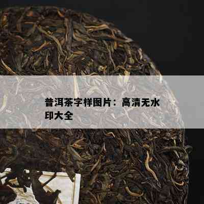 普洱茶字样图片：高清无水印大全