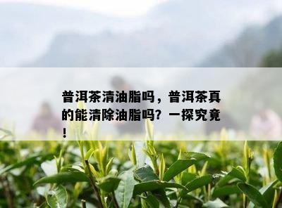 普洱茶清油脂吗，普洱茶真的能清除油脂吗？一探究竟！