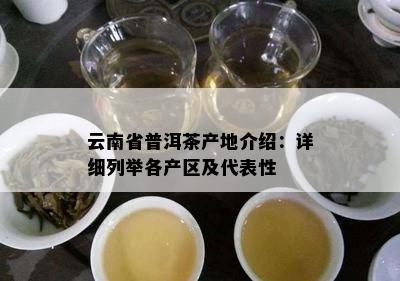 云南省普洱茶产地介绍：详细列举各产区及代表性