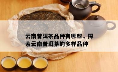 云南普洱茶品种有哪些，探索云南普洱茶的多样品种