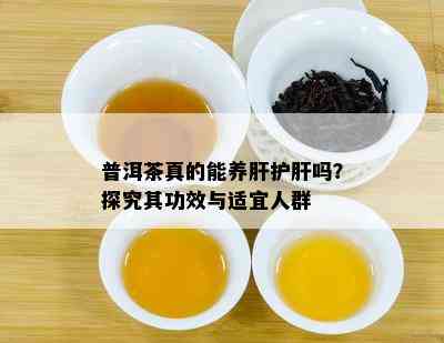 普洱茶真的能养肝护肝吗？探究其功效与适宜人群