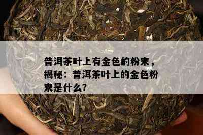 普洱茶叶上有金色的粉末，揭秘：普洱茶叶上的金色粉末是什么？