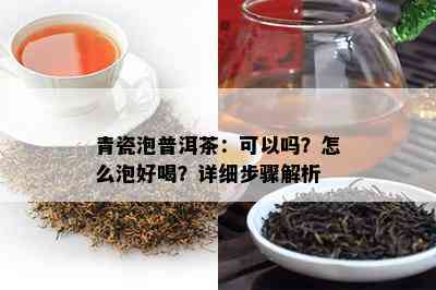 青瓷泡普洱茶：可以吗？怎么泡好喝？详细步骤解析