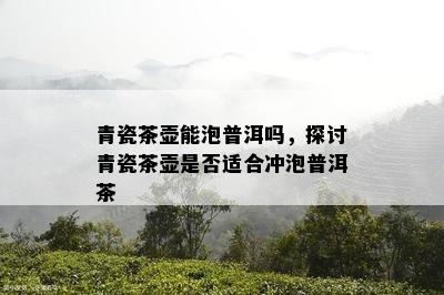 青瓷茶壶能泡普洱吗，探讨青瓷茶壶是不是适合冲泡普洱茶