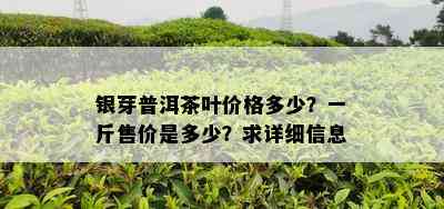 银芽普洱茶叶价格多少？一斤售价是多少？求详细信息