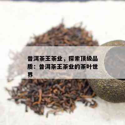 普洱茶王茶业，探索顶级品质：普洱茶王茶业的茶叶世界