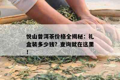 悦山普洱茶价格全揭秘：礼盒装多少钱？查询就在这里！