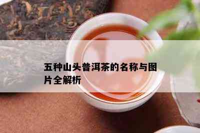 五种山头普洱茶的名称与图片全解析