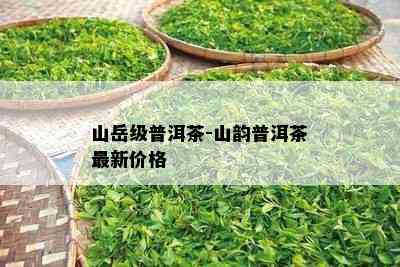 山岳级普洱茶-山韵普洱茶最新价格