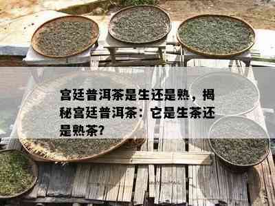 宫廷普洱茶是生还是熟，揭秘宫廷普洱茶：它是生茶还是熟茶？