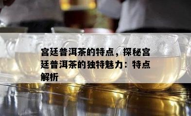 宫廷普洱茶的特点，探秘宫廷普洱茶的独特魅力：特点解析