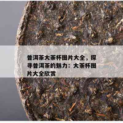 普洱茶大茶杯图片大全，探寻普洱茶的魅力：大茶杯图片大全欣赏