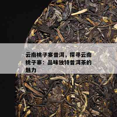 云南桃子寨普洱，探寻云南桃子寨：品味独特普洱茶的魅力