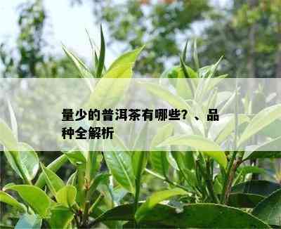 量少的普洱茶有哪些？、品种全解析