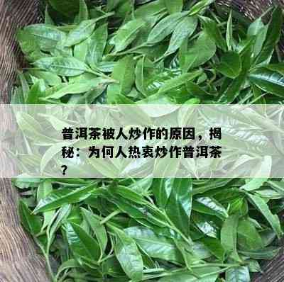 普洱茶被人炒作的起因，揭秘：为何人热衷炒作普洱茶？