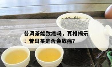 普洱茶能致癌吗，真相揭示：普洱茶是否会致癌？