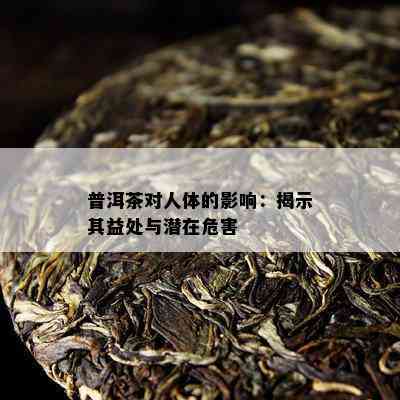 普洱茶对人体的影响：揭示其益处与潜在危害