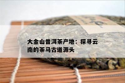 大金山普洱茶产地：探寻云南的茶马古道源头