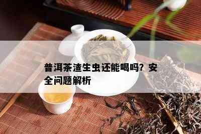 普洱茶渣生虫还能喝吗？安全疑问解析