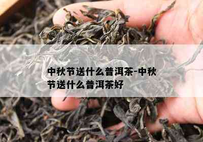 中秋节送什么普洱茶-中秋节送什么普洱茶好