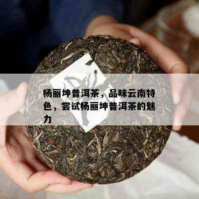 杨丽坤普洱茶，品味云南特色，尝试杨丽坤普洱茶的魅力