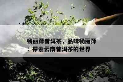 杨丽萍普洱茶，品味杨丽萍：探索云南普洱茶的世界